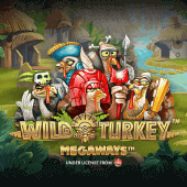 Pavo Salvaje Megaways screenshot